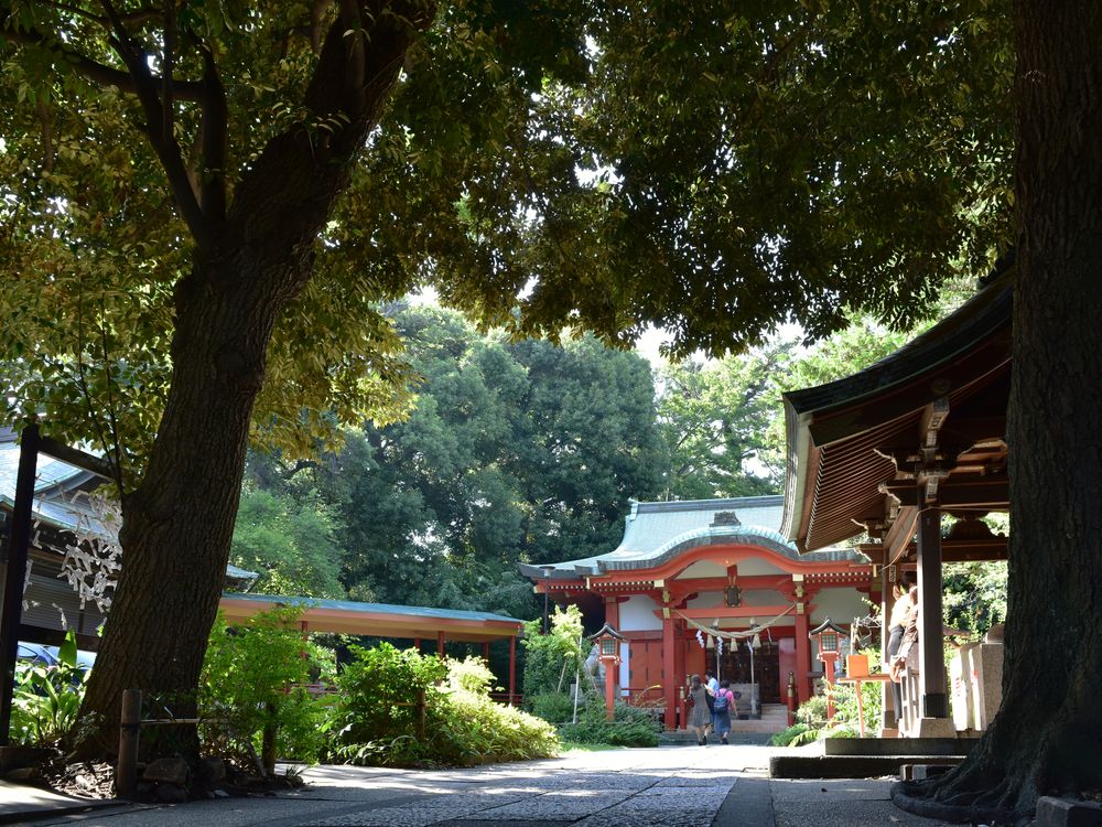自由ヶ丘 熊野神社の画像 - 3枚目
