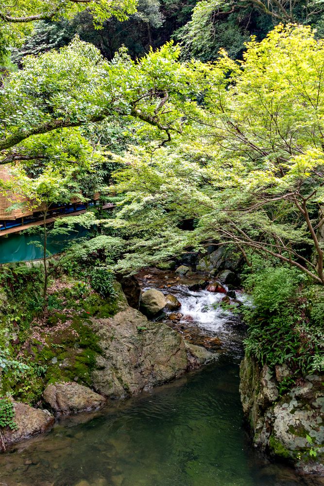 箕面大滝の画像 - 2枚目