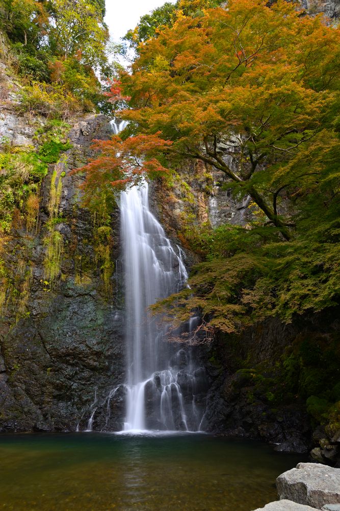 箕面大滝の画像 - 3枚目
