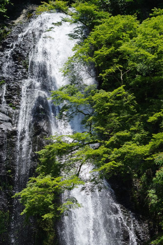 箕面大滝の画像 - 4枚目