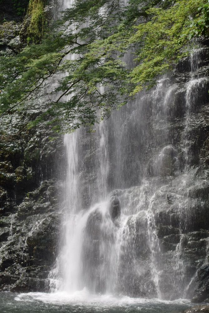 箕面大滝の画像 - 5枚目