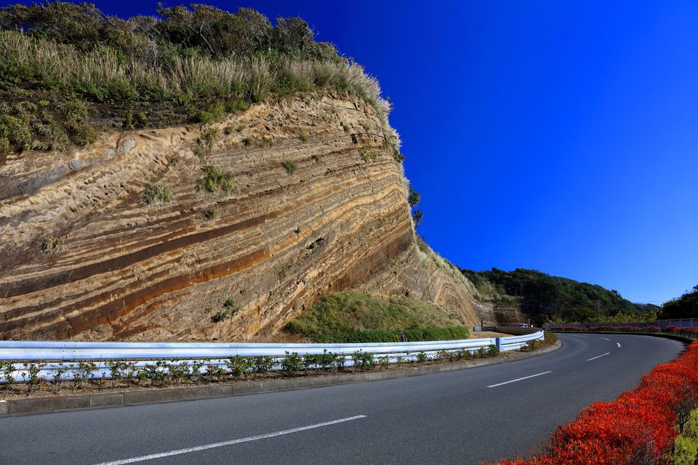 地層大切断面の画像 - 2枚目