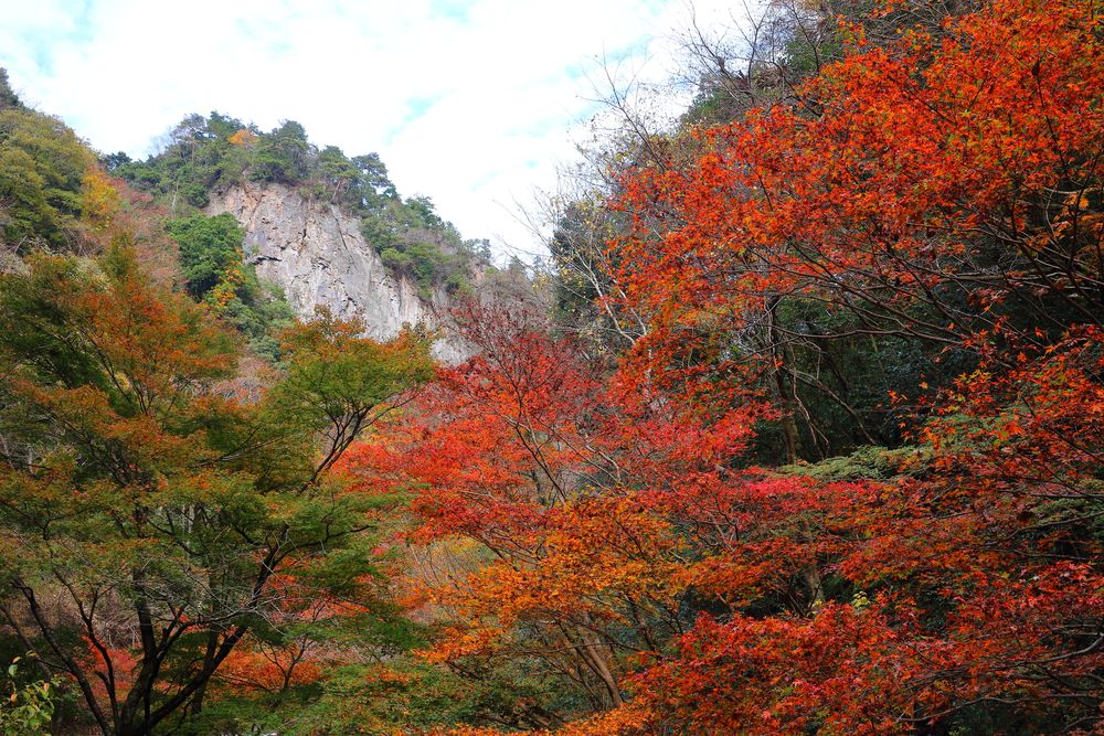 神戸岩の画像 - 2枚目