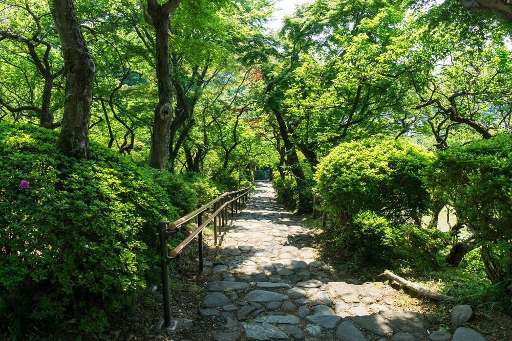 京王百草園の画像 - 2枚目