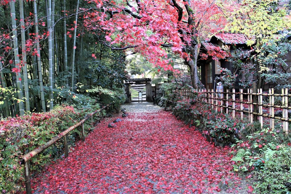 京王百草園の画像 - 5枚目