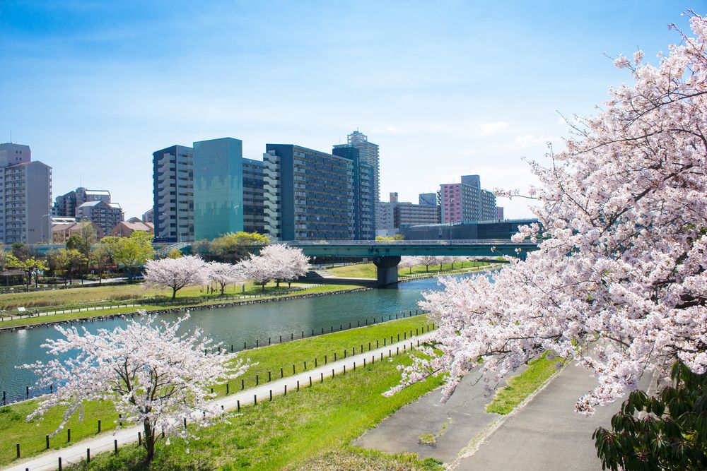 大島小松川公園の画像 - 2枚目