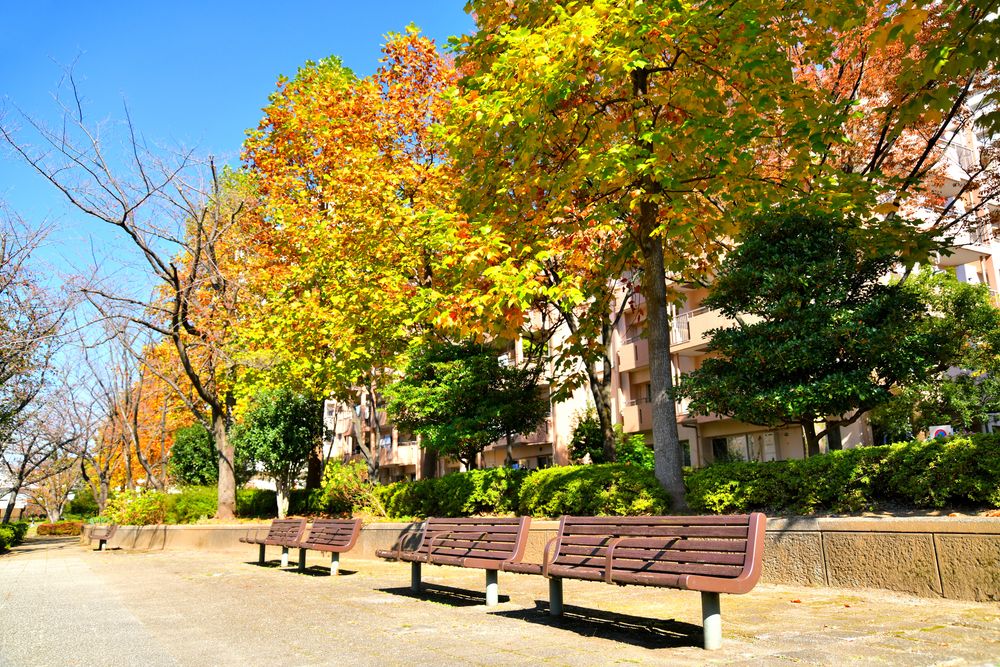 大島小松川公園の画像 - 5枚目