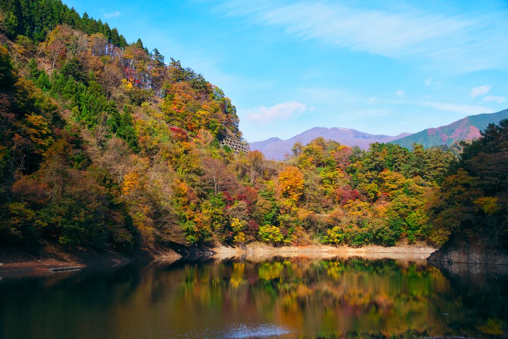 山のふるさと村の画像 - 2枚目