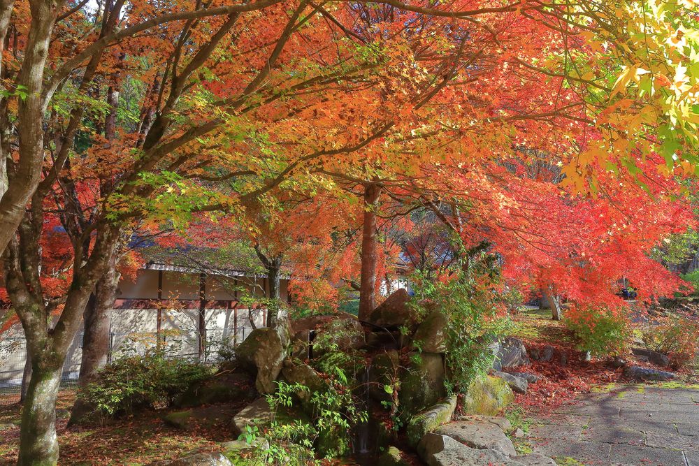 山のふるさと村の画像 - 3枚目