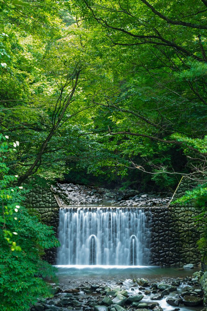 山のふるさと村の画像 - 4枚目