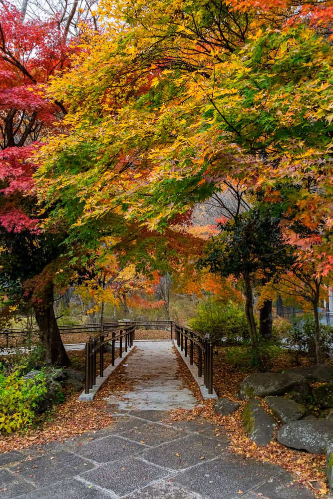 山のふるさと村の画像 - 5枚目