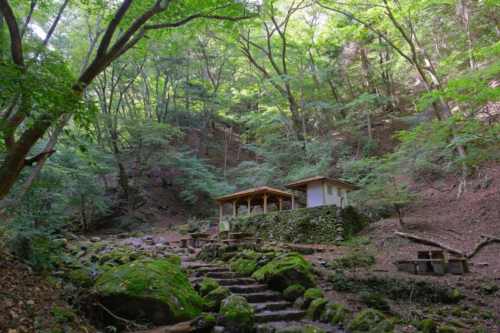 ロックガーデン • 御岳岩石園の画像 - 5枚目