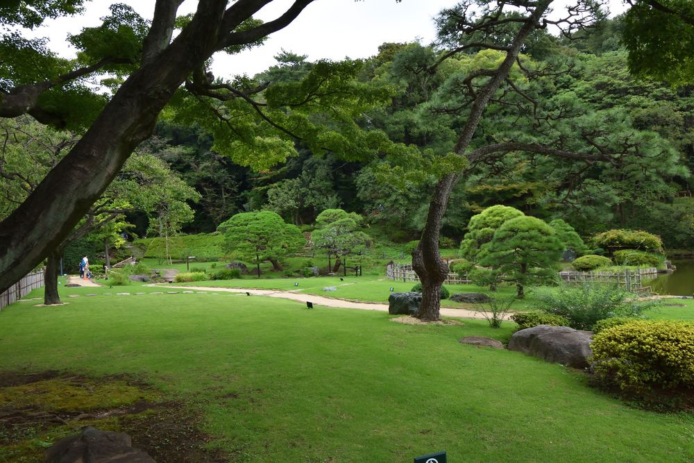 肥後細川庭園の画像 - 4枚目