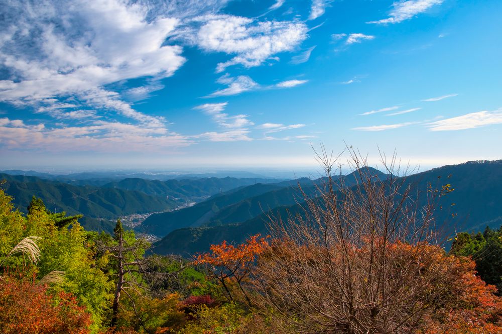 御岳山ケーブルカーの画像 - 4枚目
