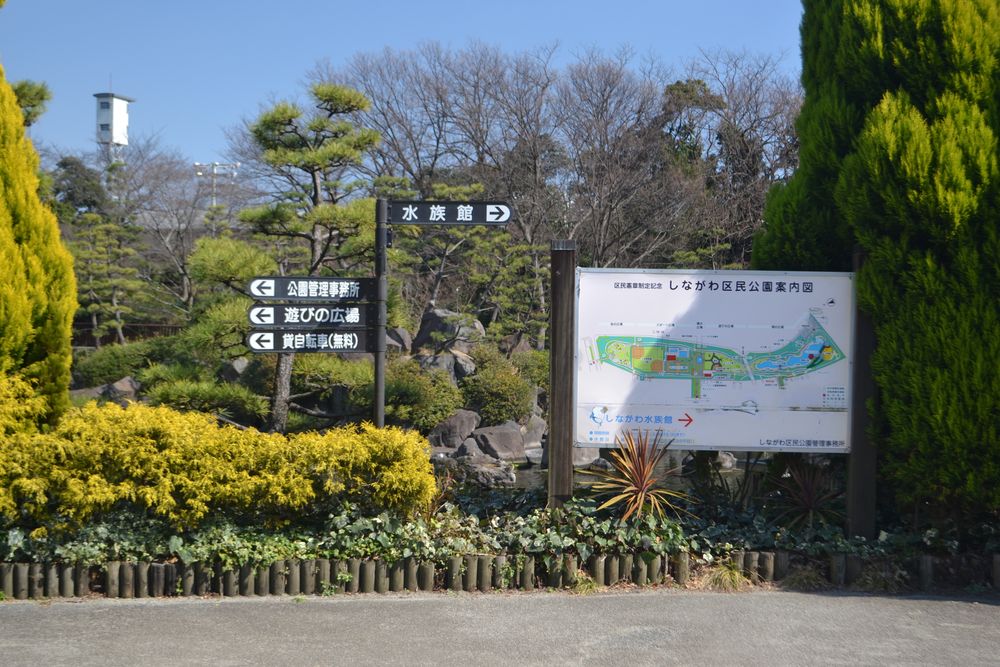しながわ区民公園の画像 - 3枚目