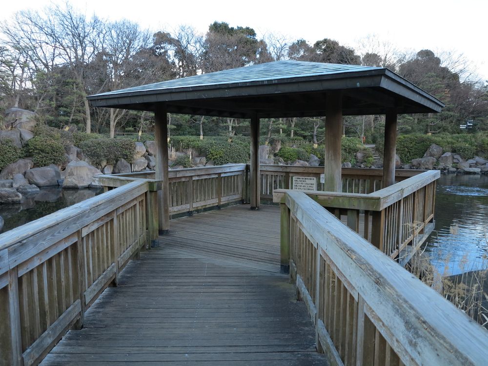 しながわ区民公園の画像 - 4枚目