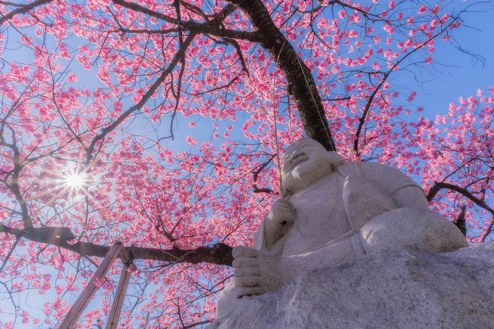 荏原神社の画像 - 5枚目
