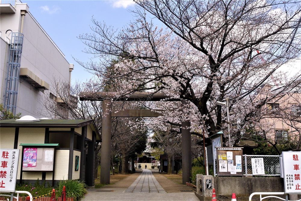 亀戸香取神社の画像 - 4枚目