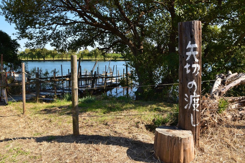 矢切の渡し (柴又側)の画像 - 4枚目