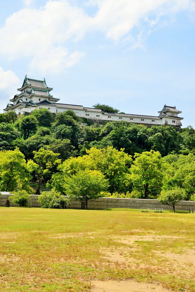 和歌山城の画像 - 6枚目