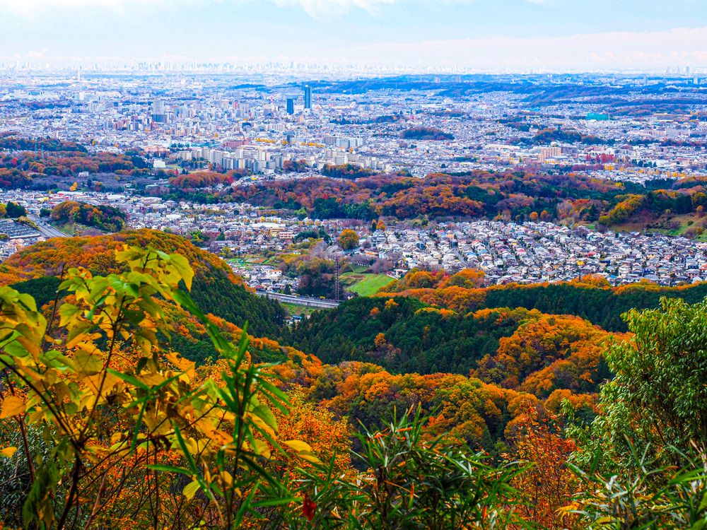 八王子城跡の画像 - 5枚目