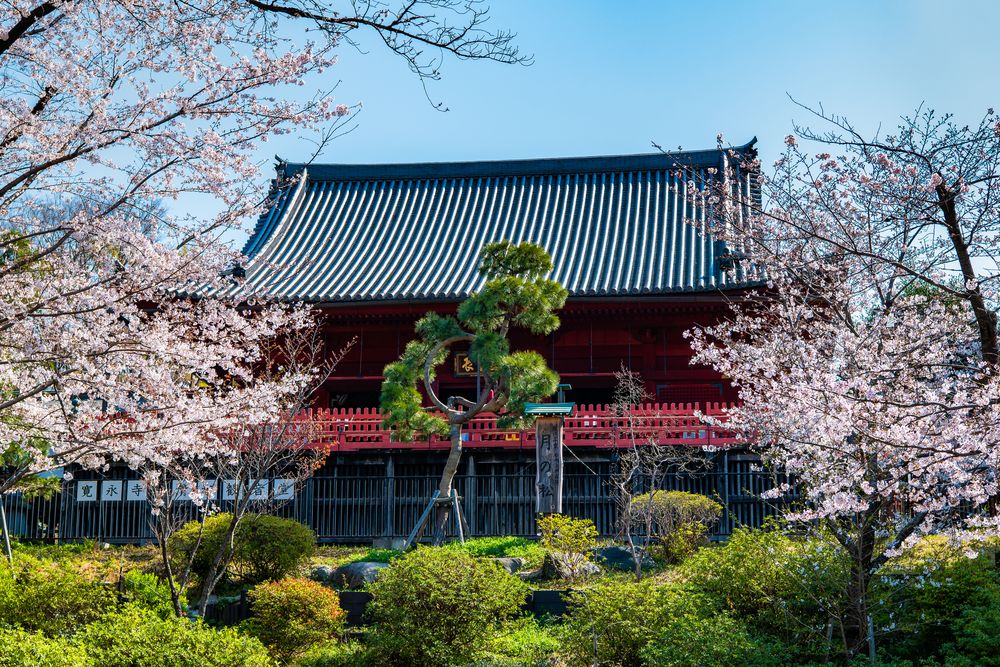 寛永寺の画像 - 4枚目