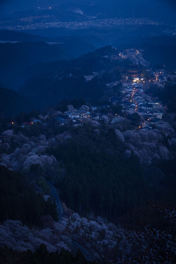 吉野山 上千本の画像 - 3枚目