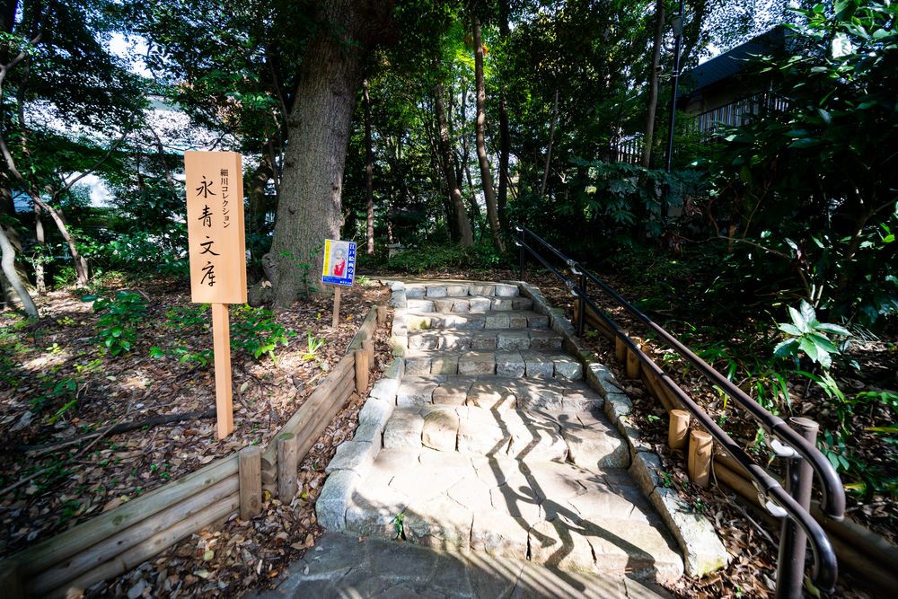 永青文庫の画像 - 4枚目