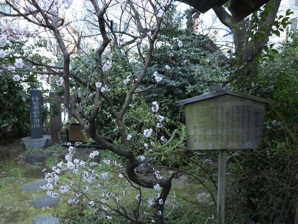 芝大神宮の画像 - 4枚目