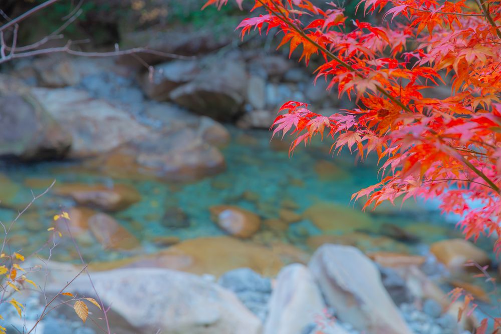 阿寺渓谷の画像 - 6枚目