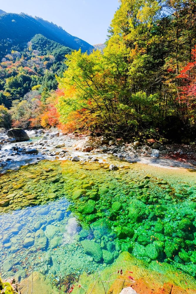 阿寺渓谷の画像 - 7枚目