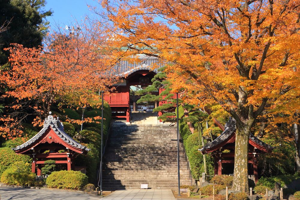 護国寺の画像 - 2枚目