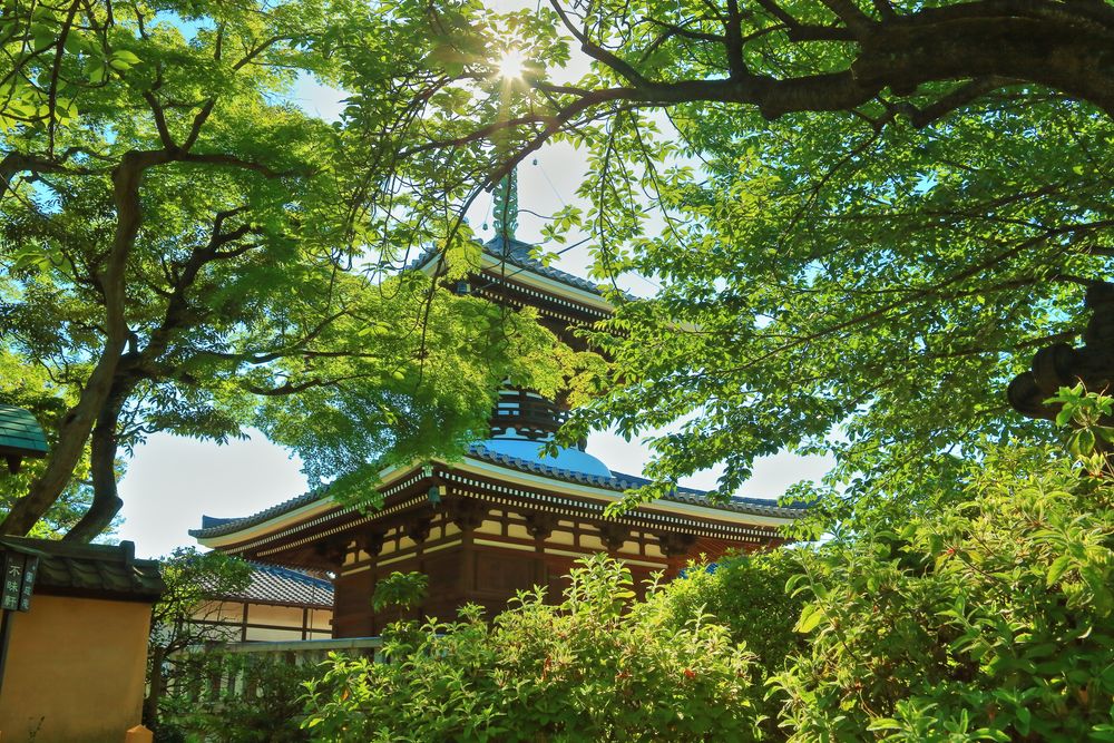 護国寺の画像 - 3枚目