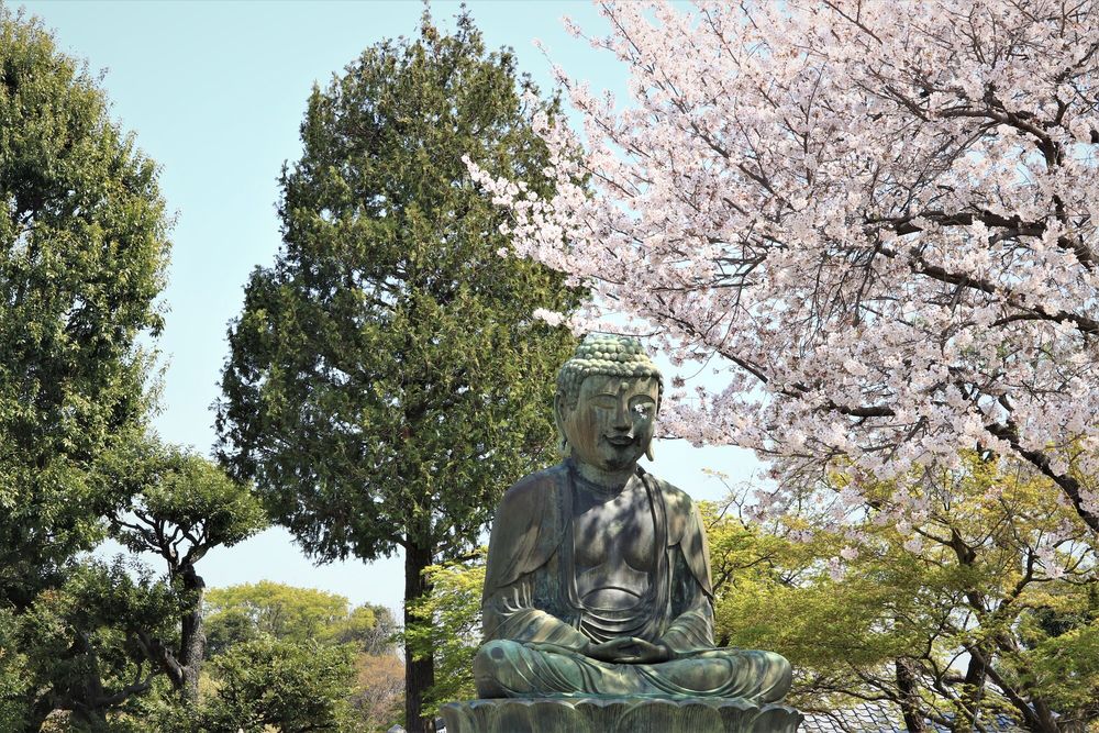 護国寺の画像 - 5枚目
