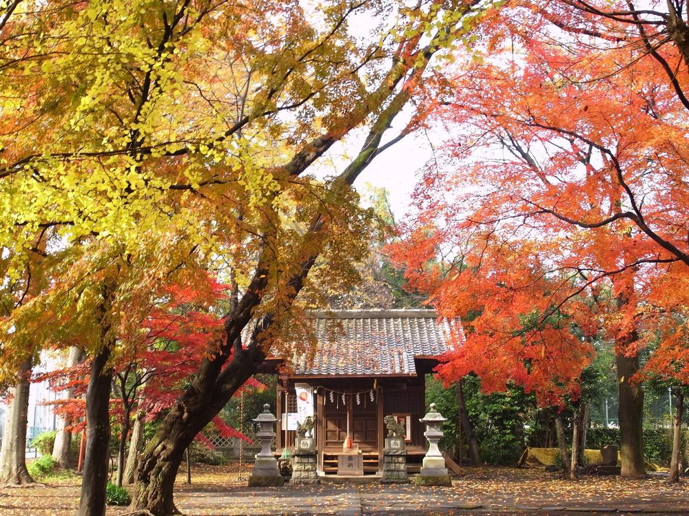 小平日枝神社の画像 - 3枚目