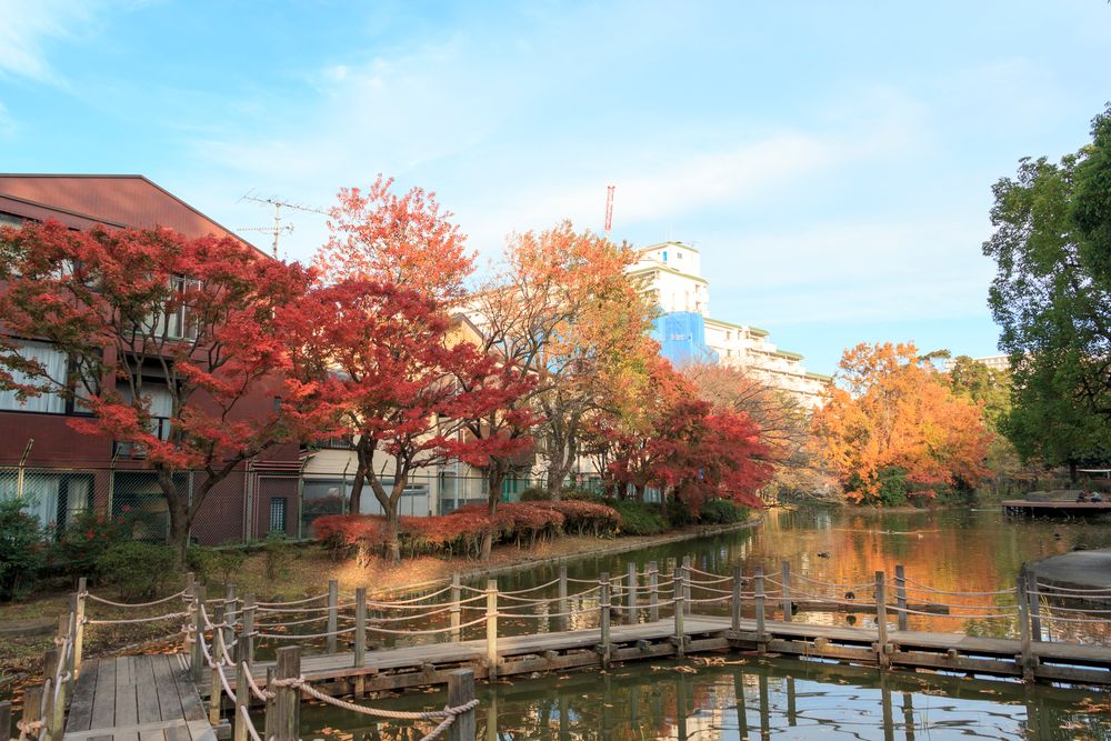 平和の森公園の画像 - 3枚目
