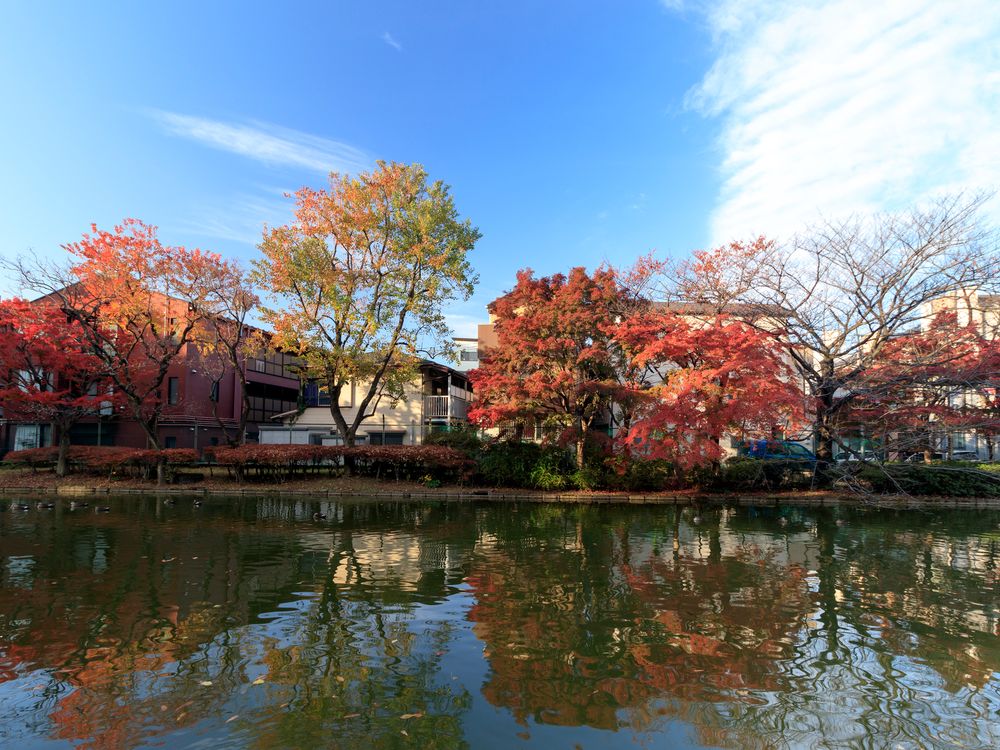 平和の森公園の画像 - 4枚目