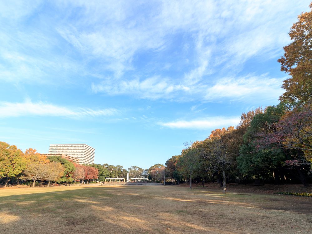 平和の森公園の画像 - 5枚目