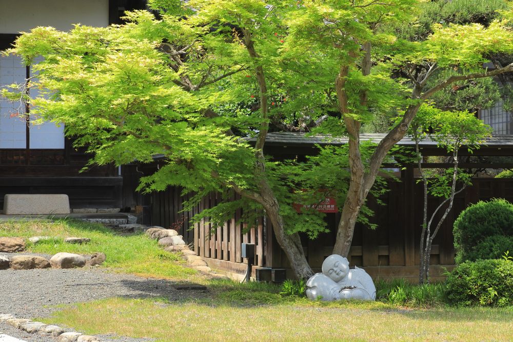 安楽寺の画像 - 2枚目