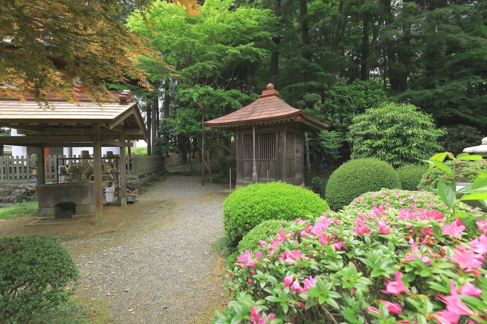 安楽寺の画像 - 3枚目