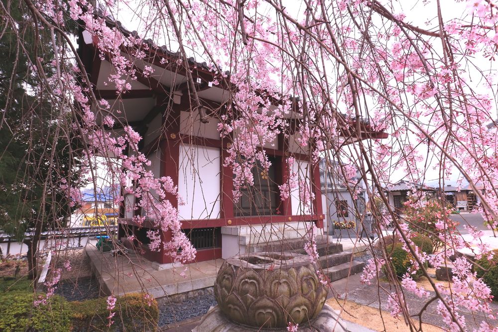 金剛寺の画像 - 4枚目
