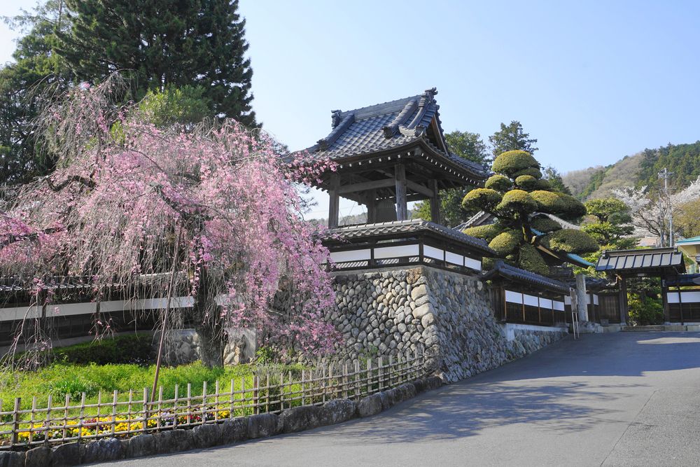 金剛寺