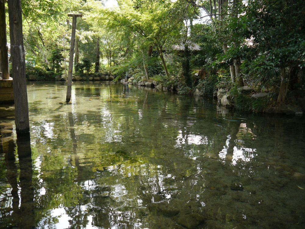 二宮神社の画像 - 2枚目