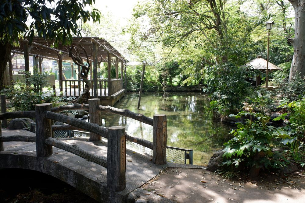 二宮神社の画像 - 3枚目