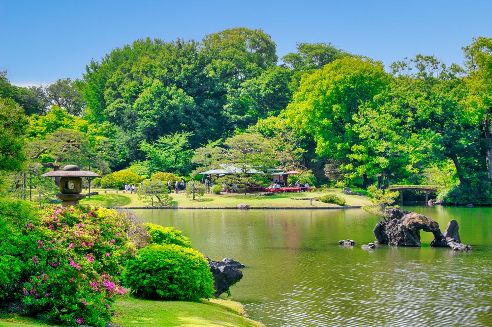 六義園の画像 - 5枚目