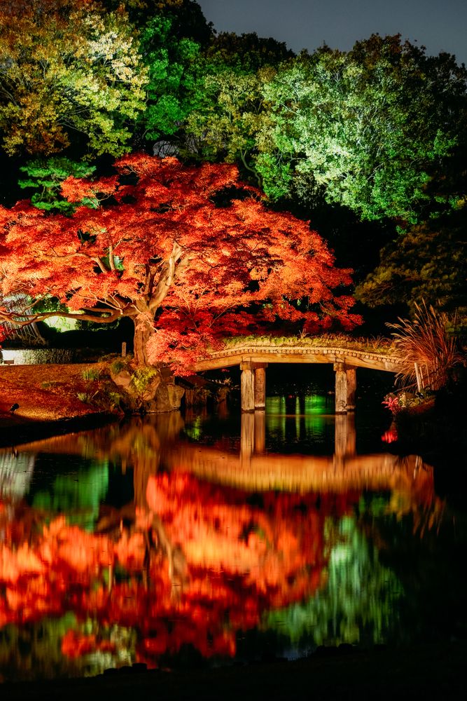 六義園の画像 - 6枚目