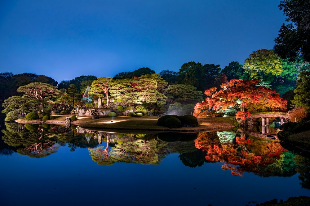 六義園の画像 - 7枚目