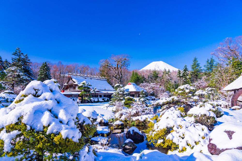 忍野八海の画像 - 2枚目