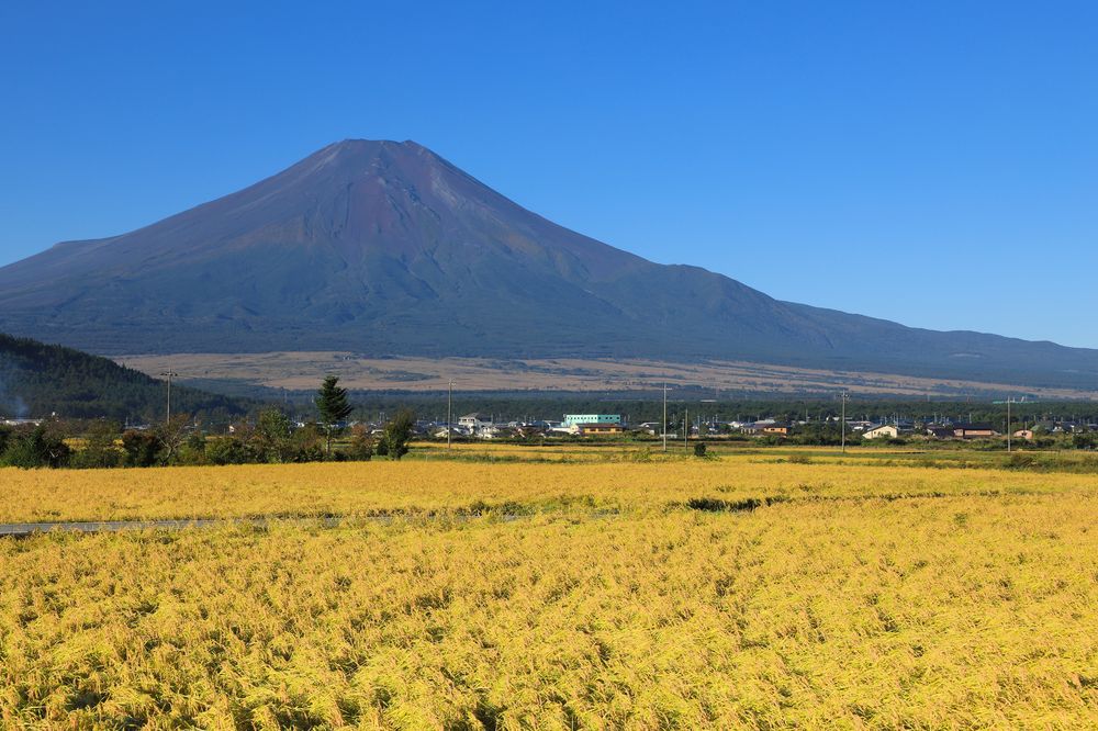 忍野八海の画像 - 4枚目