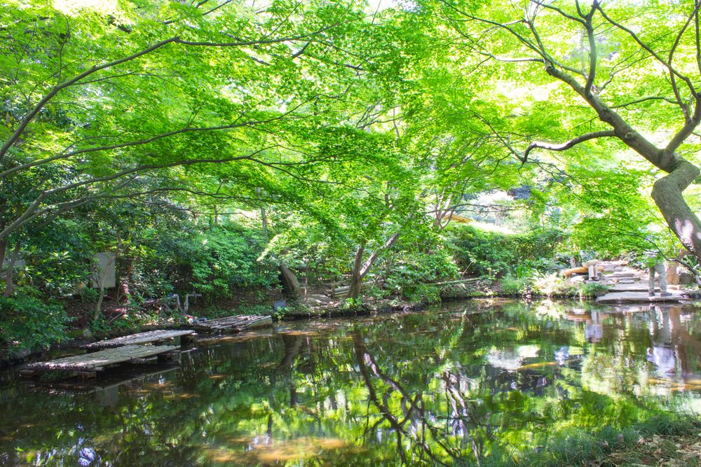 ホテルニューオータニ 日本庭園の画像 - 2枚目